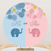 Runden Rosa Oder Blau Wenig Elefant Babydusche Hintergrund